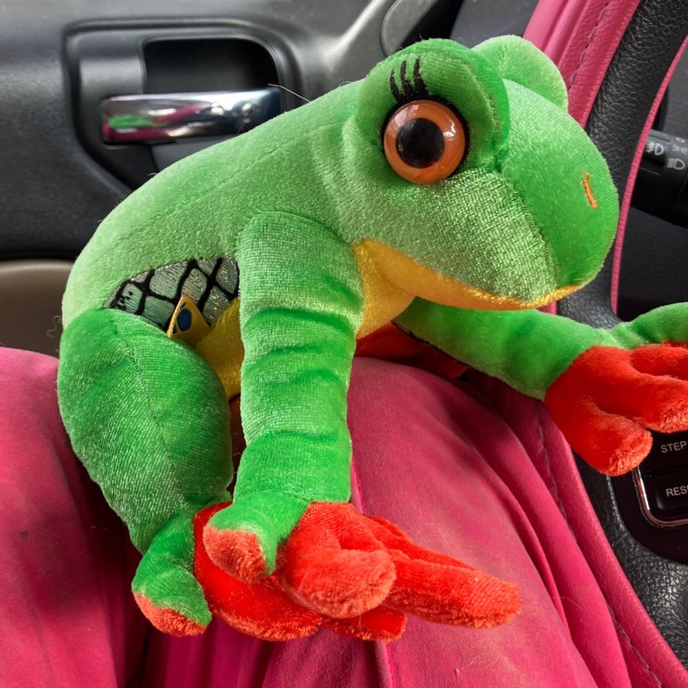 Webkins Tree frog